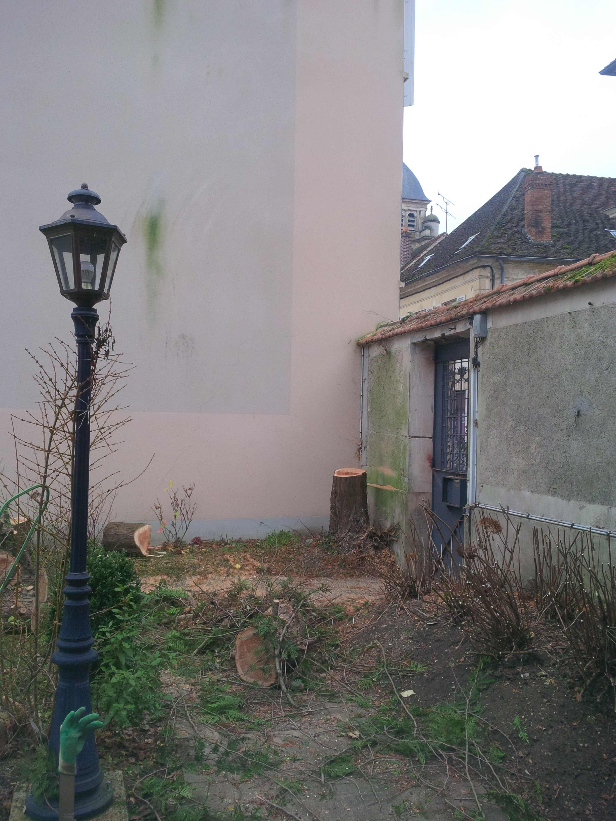 elagage abattage Chezy sur marne 02570